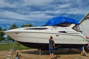 Galeria - Polep auta (wrap)
